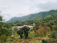 -塔川景区
