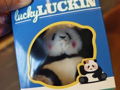 -瑞幸咖啡(大连罗斯福广场一层店)