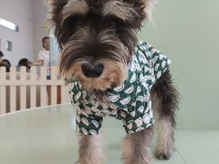 -怪兽屋·羊驼·猫咖·狗咖(俊华广场店)