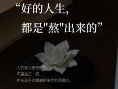 -曼朗心理咨询·旗舰店