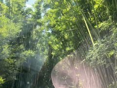 -海南热带野生动植物园