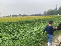 -中国天府农业博览园