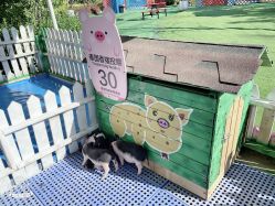 -萌宠亲子动物乐园(槐房万达店)