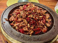 -天山醉美辣子鸡(文艺路店)