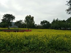 -南宁花花大世界景区