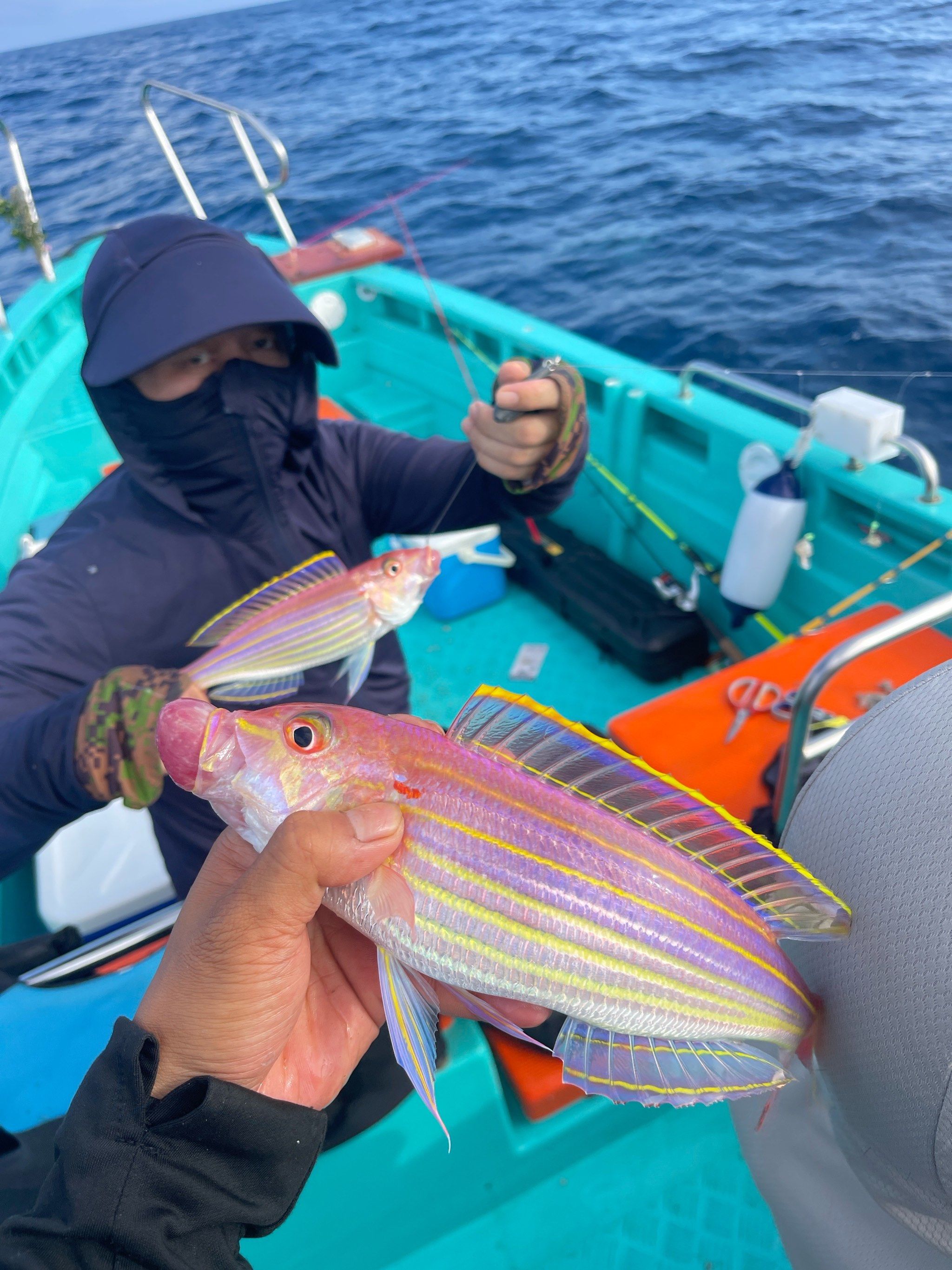 小众旅行地 惠州风车塔
海钓船钓