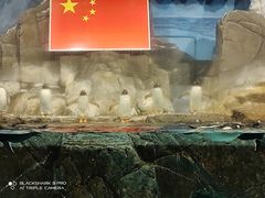 -成都浩海立方海洋公园