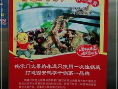 -鸭掌门特色火锅(文景路店)