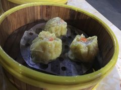 -肥佬夜茶(早茶·西乡店)