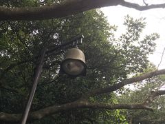 -普陀山慧济禅寺