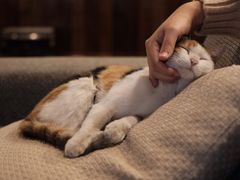 -麦田书店(国防路店)