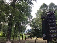 -北京白桦林彭兴全农家院