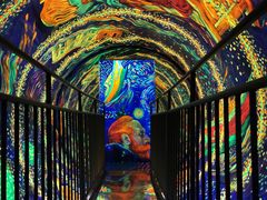 -成都梵高星空艺术馆(春熙路旗舰店)