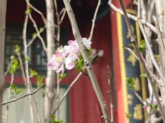 -晋阳饭庄(虎坊桥店)