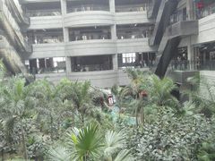 -黑龙江中医药大学附属第一医院