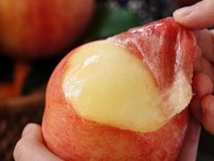 -南汇老顾农家乐采摘大团水蜜桃采摘店