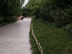 -昆山城市生态森林公园