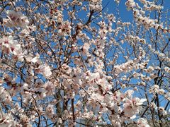 -天津东丽湖风景区