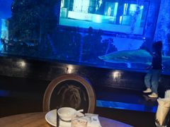 -鲨鱼餐厅.海景川粤餐厅(重庆天地店)