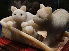 -中国地质博物馆