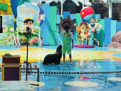 -海合安成都极地海洋公园