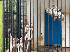 -广东茂名森林公园