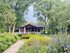 -上海市保健医疗中心