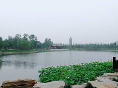 -西海子公园