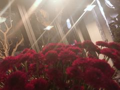 -Apollo·西班牙小酒馆(安福路店)