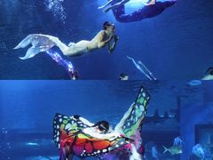 -正佳极地海洋世界