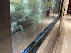 -龙悦湾酒家·八阵鱼生·渔人码头店