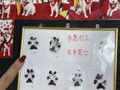 -星多哈·狗咖·拼豆·咖啡