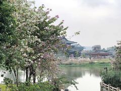 -海珠湖公园