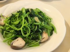 -利苑酒家(金宝店)