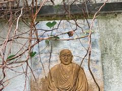 -广州神农草堂中医药博物馆