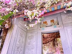 -深圳国际园林花卉博览园