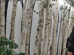 -极简口腔(总院)