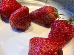 -新興传承烤鸭