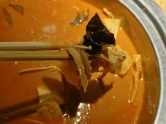 -杨翔豆皮涮牛肚(万和城店)