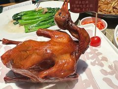 -大鸽饭(北京路店)