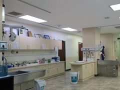 -美联众合动物医院·24h转诊中心