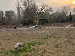 -迎泽公园