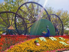 -呀路古热带植物园