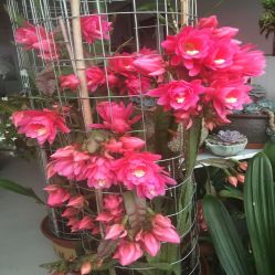 -Oasis Beauty水磨坊科技美肤中心