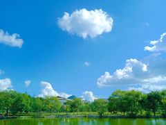 -丽江文化旅游学院