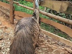 -昆明动物园