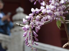 -孔庙和国子监博物馆