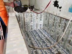 -天使宠物医院·犬猫分诊(彩虹店)