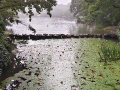 -紫霞湖公园