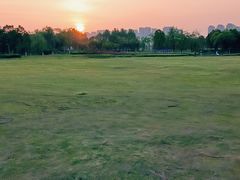 -洋湖国家湿地公园
